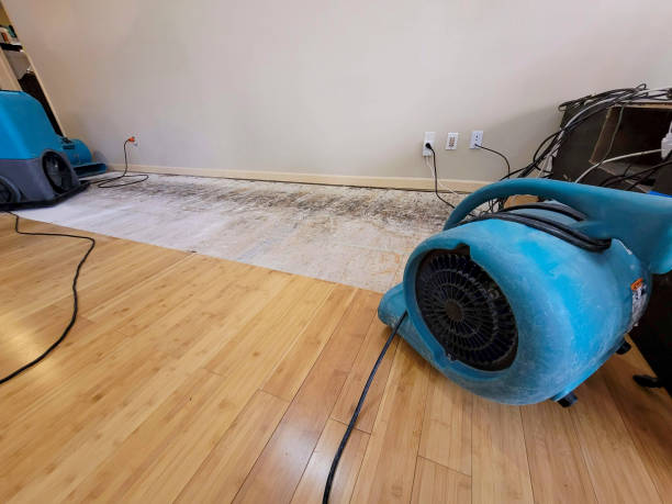 Professional Water Damage Repair technician working in Union, NH